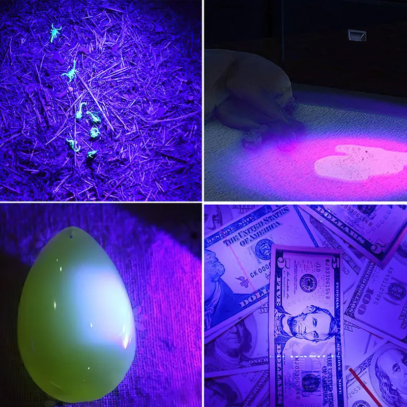 LED UV Lukturīti 395nm Viļņa Blacklight Mini Lāpu ultravioletās Gaismas Zoomable Pet Urīna Scorpion sieviešu higiēnas Detektors . ' - ' . 3