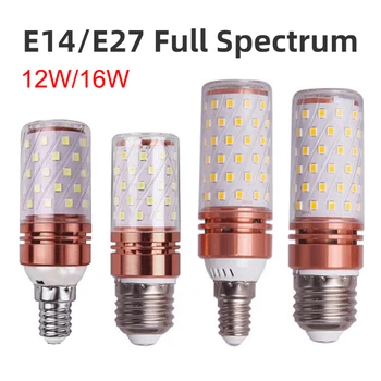 E27 LED Spuldzes 220V LED Spuldzes SMD2835 E14 Pilna Spektra Kukurūzas Spuldzes Prožektoru gaismā, 3 Krāsas, bombilla Mājas Enerģijas Taupīšanas Gaismas